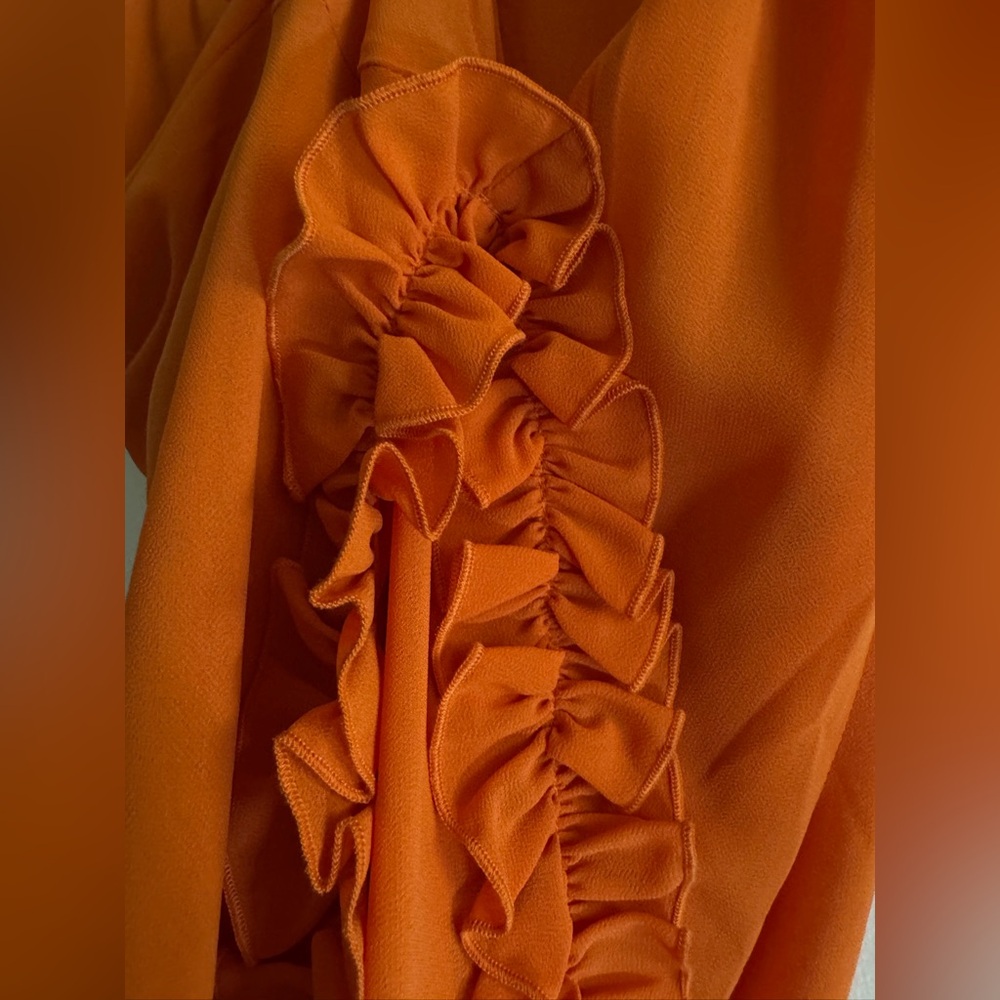 NWT Helsa Sheer Ruffled long dress - Picture 8 of 9